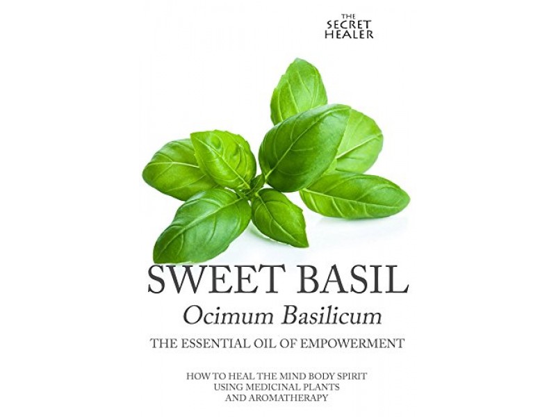 Sweet Basil Ocimum basilicum The Essential Oil of Empowerment